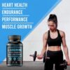 Extra Strength L Arginine Capsule 1500mg - Nitric Oxide Supplements for Stamina, Muscle, Vascularity & Energy - Powerful NO Booster with L-Arginine, L-Citrulline & Essential Amino Acids
