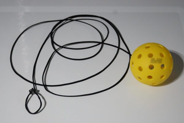 Slam Master Economy Pickleball Practice/Training/Drill Device, Attachable to Paddle