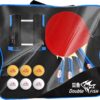 Double Fish Ping Pong Paddle Set of 4, 6 Ping Pong Balls ITTF Approval Professional 3-Star WTT, Carrying Storage Case, Table Tennis Sets for Training, Game, Family Fun