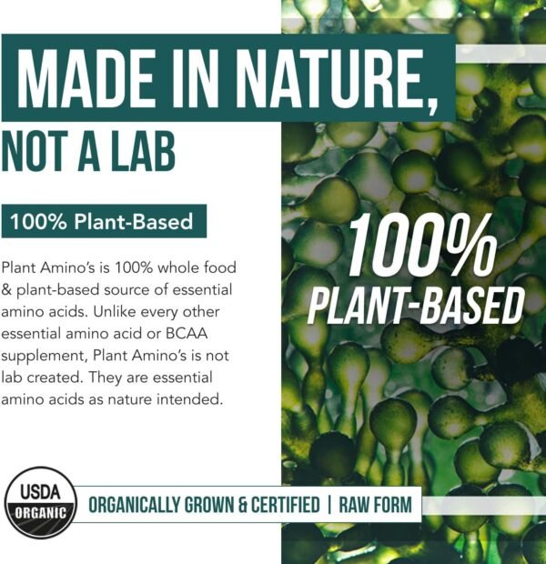 Plant Aminos Organic Essential Amino Acids (EAAs) & BCAA - 100% Plant-Based Raw, Vegan - All 9 Amino Acids with 18 Total Amino Acids (360 Tablets)