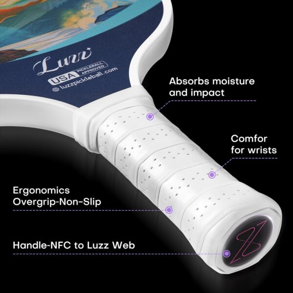 LUZZ Pickleball Paddles, T700 Carbon Fiber Pickleball Paddle Sandblasted Surface with Honeycomb Core Pickle Ball Rackets for Ultimate Spin & Control