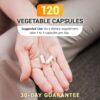 Dr. Berg Vitamin D3 K2 w/MCT Powder - Includes 10,000 IU of Vitamin D3, 100 mcg MK7 Vitamin K2, Purified Bile Salts, Zinc & Magnesium for Ultimate Absorption - K2 D3 Vitamin Supplement - 120 Capsule