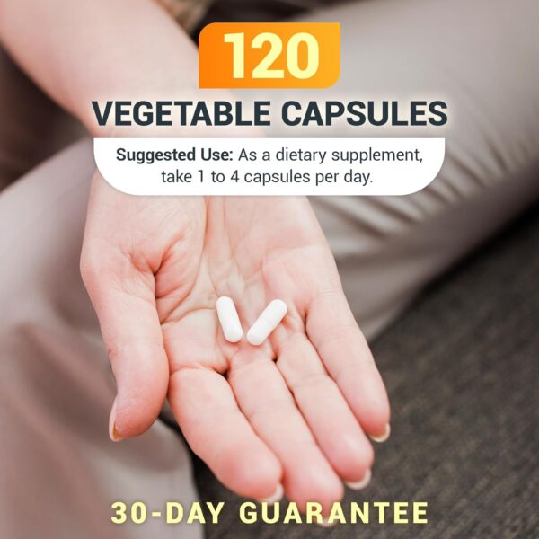 Dr. Berg Vitamin D3 K2 w/MCT Powder - Includes 10,000 IU of Vitamin D3, 100 mcg MK7 Vitamin K2, Purified Bile Salts, Zinc & Magnesium for Ultimate Absorption - K2 D3 Vitamin Supplement - 120 Capsule