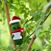 Funn Crochet Pickles 1 Pcs with Affirmations Cards for Inspirational Novelty Good Luck Gifts and Party Decorations (KK-CKD04-PICKLE-UN)