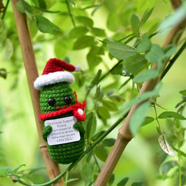 Funn Crochet Pickles 1 Pcs with Affirmations Cards for Inspirational Novelty Good Luck Gifts and Party Decorations (KK-CKD04-PICKLE-UN)