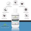 Health As It Ought To Be Sports Magnesium Oil + Arnica and Essential Oils Supplement | Physician Formulated for Athletes and Active Adults, Natural Muscle Rub and Workout Recovery | 8 Ounce