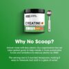 Optimum Nutrition Creatine Monohydrate Plus Powder, Orange Passionfruit Flavored Creatine Performance Blend With Electrolytes for Hydration, Added Vitamins, 40 Servings, 360 Grams (Packaging May Vary)