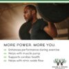 Nitric Oxide Supplement (Stim Free Pre Workout) - Nitric Oxide Booster with Nitrosigine, L Arginine, and L Citrulline (Clinically Studied to Boost No2 Nitric Oxide Flow) 180 Capsules by Double Wood