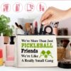 Pickleball Lover Gifts Makeup Bag Pickleball Gifts for Women Pickleball Lovers Cosmetic Bag We're More Than Just Pickleball Friends Zipper Makeup Pouch