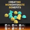 Creatine Monohydrate Gummies for Men & Women-5g of Creatine Monohydrate per Serving - Sugar Free,Vegan,Blueberry Pineapple Flavor, 120 Count