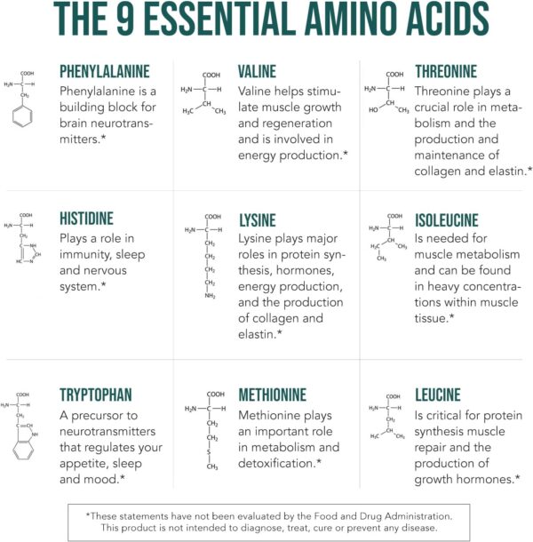Plant Aminos Organic Essential Amino Acids (EAAs) & BCAA - 100% Plant-Based Raw, Vegan - All 9 Amino Acids with 18 Total Amino Acids (360 Tablets)