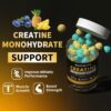 Creatine Monohydrate Gummies for Men & Women-5g of Creatine Monohydrate per Serving - Sugar Free,Vegan,Blueberry Pineapple Flavor, 120 Count
