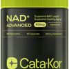 NMNH Supplement Alternative - Liposomal NAD with Resveratrol - High Purity NAD Supplement for Anti-Aging, Energy, Focus - 60 Capsules