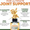 Turmeric Curcumin Supplement 2000mg with Glucosamine Chondroitin & Ginger, 95% Curcuminoids, BioPerine Black Pepper for Best Absorption, Nature's Joint Support, Non-GMO, Bottled in USA - 120 Capsules