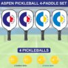 Portable Pickleball Net - 22 FT USAPA Regulation Size, Applies to Indoor & Outdoor & Driveway, Pickle Ball Net System with Carrying Bag