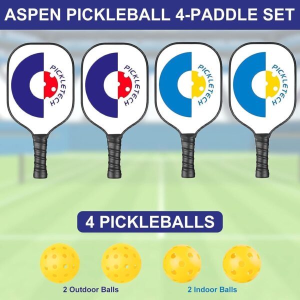 Portable Pickleball Net - 22 FT USAPA Regulation Size, Applies to Indoor & Outdoor & Driveway, Pickle Ball Net System with Carrying Bag
