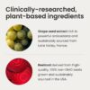 HumanN SuperBeets Beet Root Capsules Quick Release 1000mg, Helps Support Nitric Oxide Production, Blood Pressure, Heart Health, Contains Non-GMO Beetroot Powder, Studied Antioxidants 90 Count
