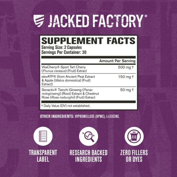 Jacked Factory Build-XT for Women - Muscle Builder for Women with VitaCherry, ElevATP, & Senactiv to Increase Muscle Growth, Muscle Recovery, & Boost Energy - 60 Count