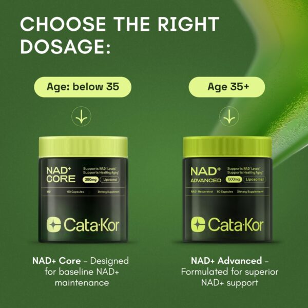 NMNH Supplement Alternative - Liposomal NAD with Resveratrol - High Purity NAD Supplement for Anti-Aging, Energy, Focus - 60 Capsules