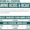 Plant Aminos Organic Essential Amino Acids (EAAs) & BCAA - 100% Plant-Based Raw, Vegan - All 9 Amino Acids with 18 Total Amino Acids (360 Tablets)