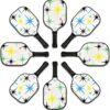 Premium Youth Pickleball Paddle Set, 2 Fiberglass Kids Paddles with Honeycomb Core, Bundle of Lightweight Fiberglass Rackets for Age 4-12, Backpack, 4 Balls, 2 Kids Rackets