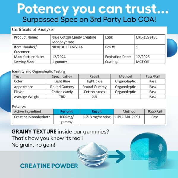 Sugar-Free Creatine Monohydrate Gummies (5g Per Packet) - Potent Creatine Gummies for Men & Women, Supplement for Muscle Support, Cellular Energy, Cognitive Function - Non-GMO, Gluten-Free, Vegan