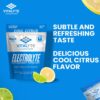 Vitalyte Electrolyte Powder (35 oz, 40 Servings Per Container)-Isotonic Drink Mix for Hydration, Energy & Recovery- Water Enhancer & Rehydration Supplement for Men, Women & Sports (Cool Citrus 2 Pack)