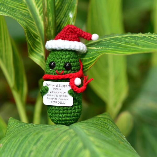 Funn Crochet Pickles 1 Pcs with Affirmations Cards for Inspirational Novelty Good Luck Gifts and Party Decorations (KK-CKD04-PICKLE-UN)