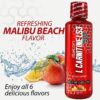 iSatori L-Carnitine LS3 1500, Triple-Blend Liquid L Carnitine Supplement, with Acetyl & Tartrate, Stimulant Free Energy, No Calories, Sugar or Gluten, Keto-Friendly, Malibu Beach Flavor (32 Servings)