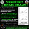 Vegan Brain & Body Boost: The Cherry On Top of A Plant-Based Lifestyle | Working Intelligence | Anti-Aging | Physical Fitness | Vegan Amino Acids - Creatine, Taurine & Beta Alanine | 67 Servings/500g