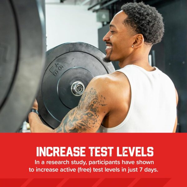 Six Star Nutrition Testosterone Booster for Men with Rhodiola Extract and Boron Citrate - Male Gym Workout Supplements for Muscle Growth, Stamina & Energy - 60 Pills