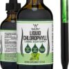 Chlorophyll Liquid Drops - Peppermint Flavored, Vegan Safe (Rich, Full Texture and Taste, Not Watered Down) for Skin Health, and Immune Function (Líquidas de Clorofila) by Double Wood