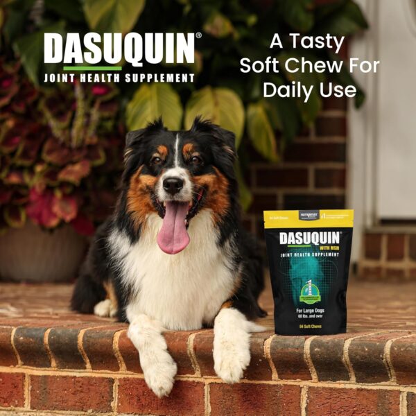 Nutramax Laboratories Dasuquin with MSM Joint Health Supplement for Large Dogs - With Glucosamine, MSM, Chondroitin, ASU, Boswellia Serrata Extract, and Green Tea Extract, 84 Soft Chews