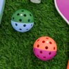 Kate Spade New York Let's Rally Blue and Pink Pickleball Set Including 2 Paddles, 2 Paddle Covers, and 2 Pickleball Balls Two Tone, Let's Rally