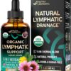 USDA Organic Lymphatic Drainage Supplement - Echinacea | Elderberry | Dandelion | Rosehip | Cleavers | Calendula | Burdock - Made in USA - Lymph System Drops - Immune Support, Cleanse & Detox, 2 fl oz
