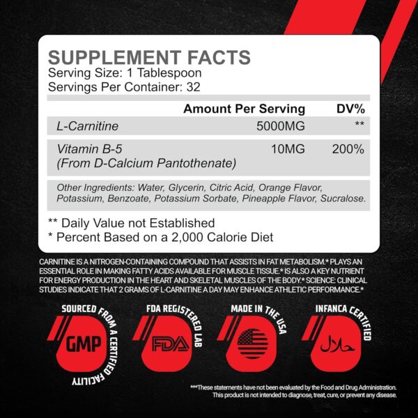 GMU SPORT L-Carnitine Liquid 5000mg Supplement for Metabolic Support - High Potency Liquid Supplement, Supports Weight Management & Muscle Recovery, Increased Endurance & Energy Booster - 30 Servings