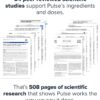 LEGION Pulse Pre Workout Supplement - All Natural Nitric Oxide Preworkout Drink to Boost Energy, Creatine Free, Naturally Sweetened, Beta Alanine, Citrulline, Alpha GPC (Fruit Punch)