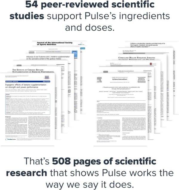 LEGION Pulse Pre Workout Supplement - All Natural Nitric Oxide Preworkout Drink to Boost Energy, Creatine Free, Naturally Sweetened, Beta Alanine, Citrulline, Alpha GPC (Fruit Punch)