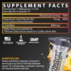 Nutrex Research Liquid Carnitine 3000 | Orange Mango | Stimulant Free | 31 Servings 16 Fl Oz