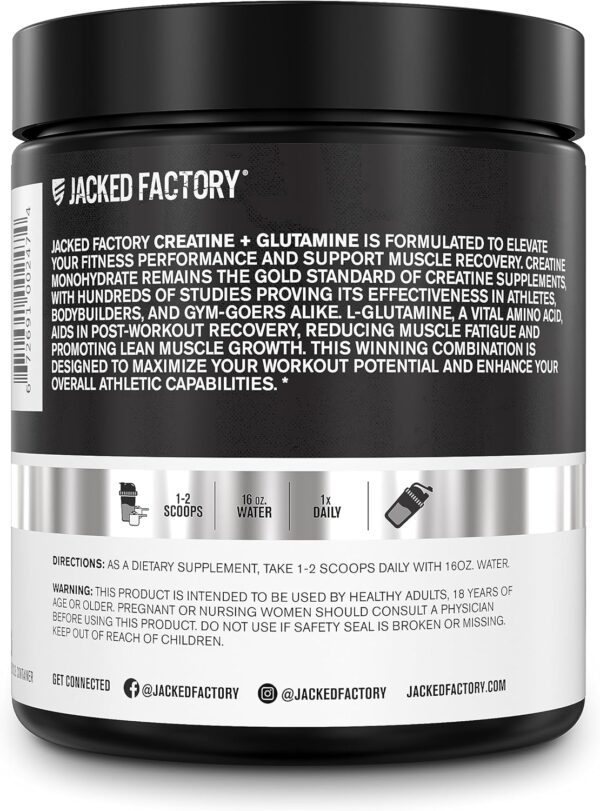 Jacked Factory Creatine + Glutamine - Creatine Supplement with L-Glutamine for Muscle Recovery, Muscle Growth, Increased Strength, Enhanced Energy Output, and Gut Health - 30 Servings, Unflavored