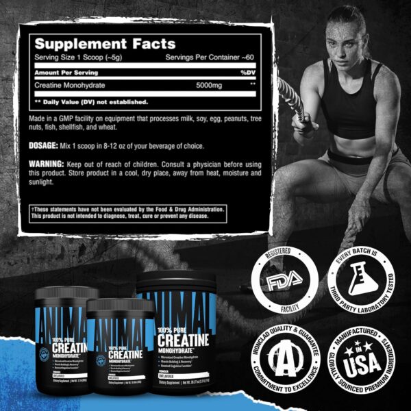 Animal Creatine Monohydrate Powder – Micronized Creatine for Women and Men, Supports Muscle Growth, Strength, Endurance, Recovery and ATP Production, Gym & Workout Supplements - Unflavored, 300g