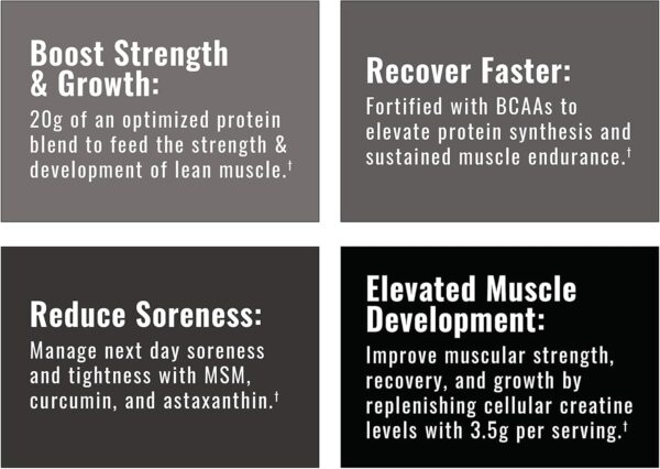 Wilderness Athlete - Brute Strength BCAA Post Workout | BCAA Creatine Workout Powder - Premium Post Workout Recovery Drink | 15 Serving Tub (Chocolate)