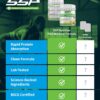 SSP Post-Workout Recovery Powder - Whey Protein Hydrolysate & BCAA Drink - BSCG Standard Sports Supplement - Raspberry Lemonade Flavored Nutrition