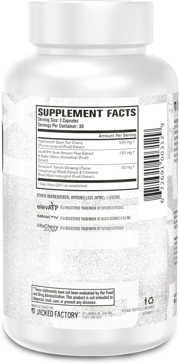 Jacked Factory Build-XT for Women - Muscle Builder for Women with VitaCherry, ElevATP, & Senactiv to Increase Muscle Growth, Muscle Recovery, & Boost Energy - 60 Count