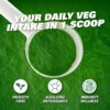 EHP Labs OxyGreens Super Greens Powder – Daily Greens & Superfood Supplement with Spirulina, Chlorella, Prebiotics, Digestive Enzymes, Antioxidants – 30 Servings (Forest Berries)