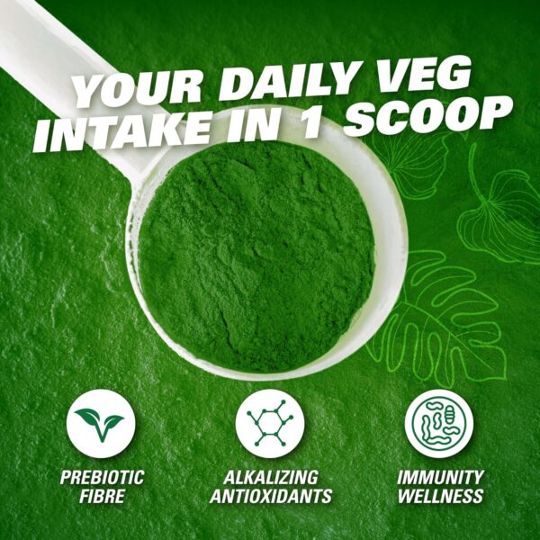 EHP Labs OxyGreens Super Greens Powder – Daily Greens & Superfood Supplement with Spirulina, Chlorella, Prebiotics, Digestive Enzymes, Antioxidants – 30 Servings (Forest Berries)