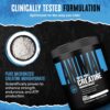 Animal Creatine Monohydrate Powder – Micronized Creatine for Women and Men, Supports Muscle Growth, Strength, Endurance, Recovery and ATP Production, Gym & Workout Supplements - Unflavored, 300g