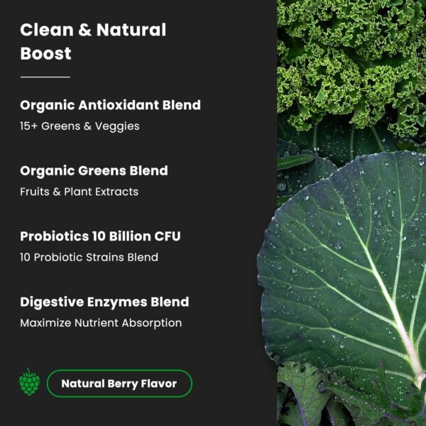 NutraChamps Super Greens Powder Premium Superfood | 20+ Organic Green Veggie Whole Foods | Wheat Grass, Spirulina, Chlorella | Antioxidant, Digestive Enzyme & Probiotic Blends (9.0 Oz, Berry)