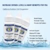 Cell Oxygenator 1 Fl Oz Bottle (Pack of 2), Liquid Oxygen Drops Daily Nutritional Supplement for Greater Immune System, Trace Minerals and Amino Acids for Athletes Sport