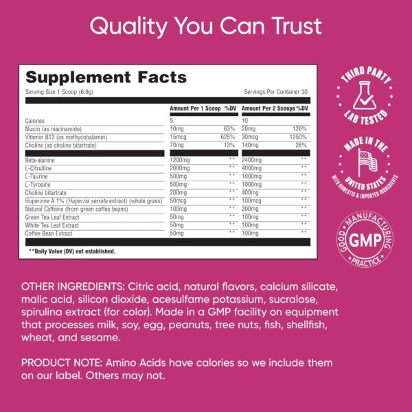 Boost & Focus Powder, Increase Energy and Cognitive Performance, Pre Workout, Custom Dosing, VIT B12, Niacin, Choline, L-Tyrosine, No Artificial Flavors, 30 Servings (Lemon Berry)